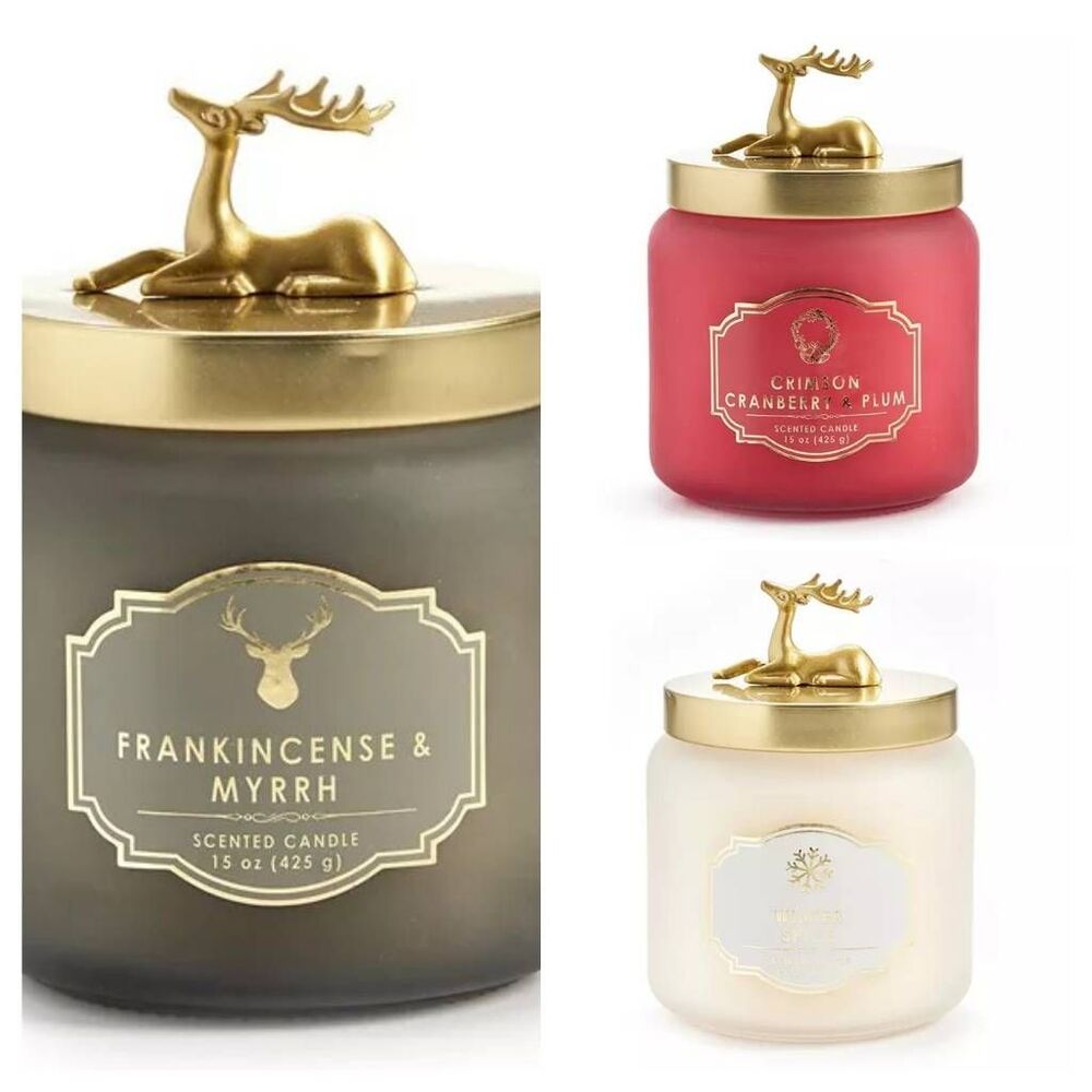 NWOT Set of 3 15 Oz Christmas Scented Reindeer Lid Frosted Glass Candles